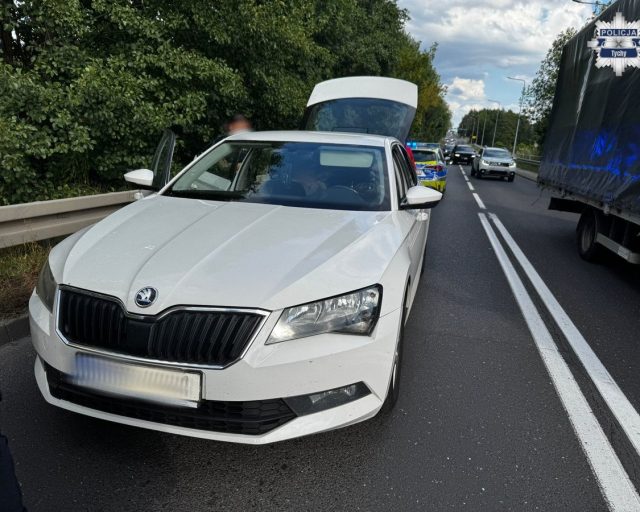 3,5-latek zabrany przez ojca. Zatrzymany w Żorach – sprawę bada sąd