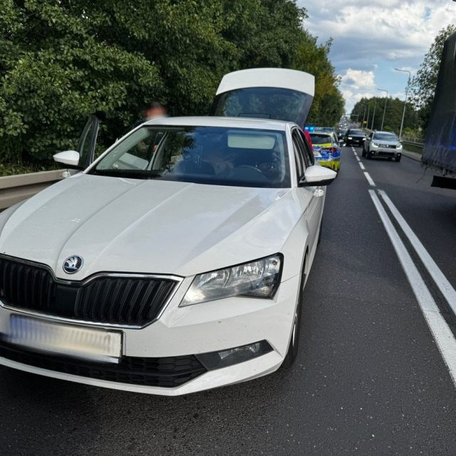 3,5-latek zabrany przez ojca. Zatrzymany w Żorach – sprawę bada sąd