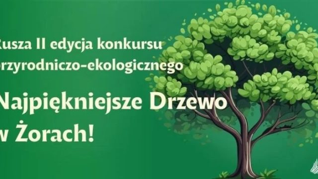 „Najpiękniejsze drzewo w Żorach” – rusza II edycja konkursu ekologicznego