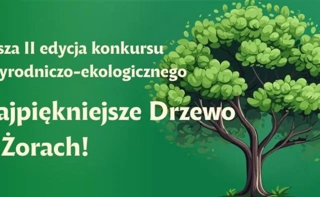 „Najpiękniejsze drzewo w Żorach” – rusza II edycja konkursu ekologicznego