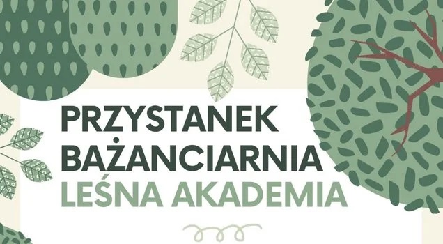Startuje Przystanek Bażanciarnia – nowa przestrzeń dla mieszkańców Roju i Rogoźnej