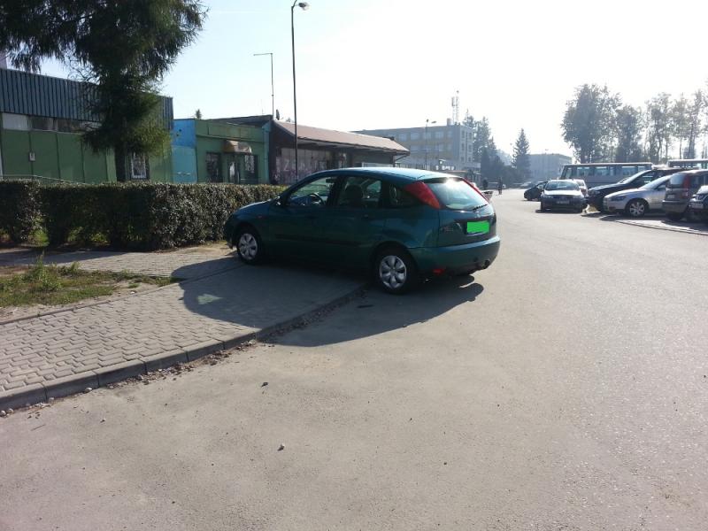 Miłota Bogdan