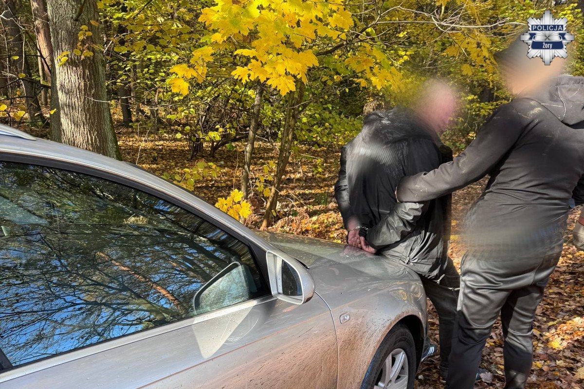 2025.10.30 - Akcja kryminalnych w Żorach - fotoreportaż