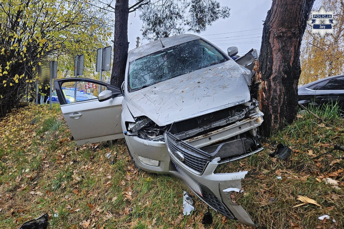 2025.11.03 - Pijany kierowca wjechał w drzewo - fotoreportaż