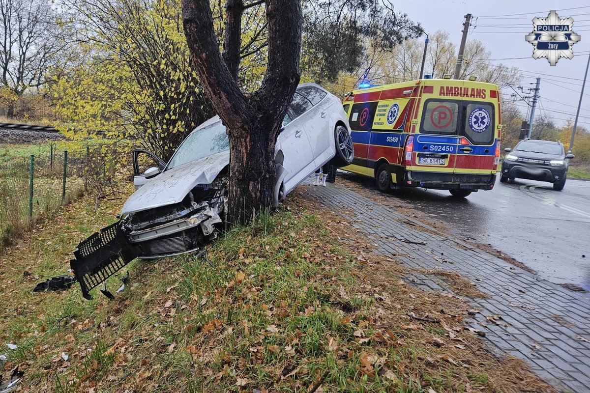 2025.11.03 - Pijany kierowca wjechał w drzewo - fotoreportaż