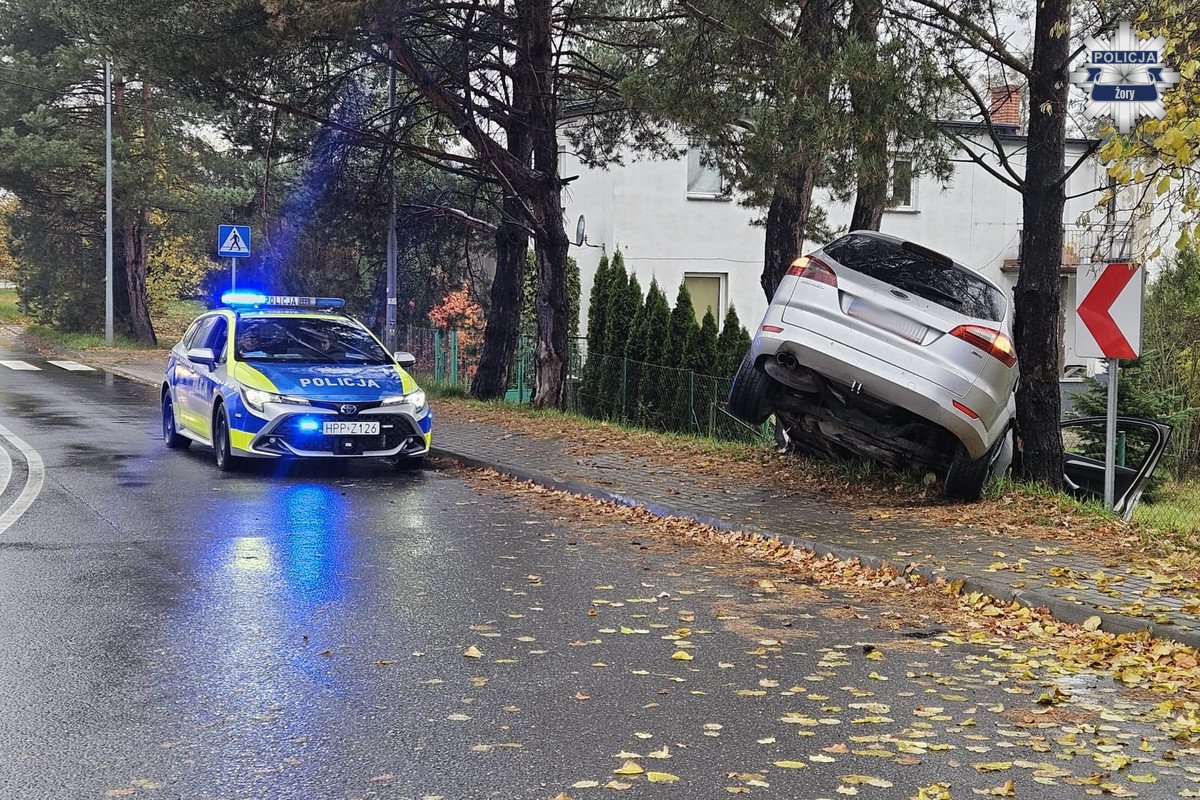 2025.11.03 - Pijany kierowca wjechał w drzewo - fotoreportaż