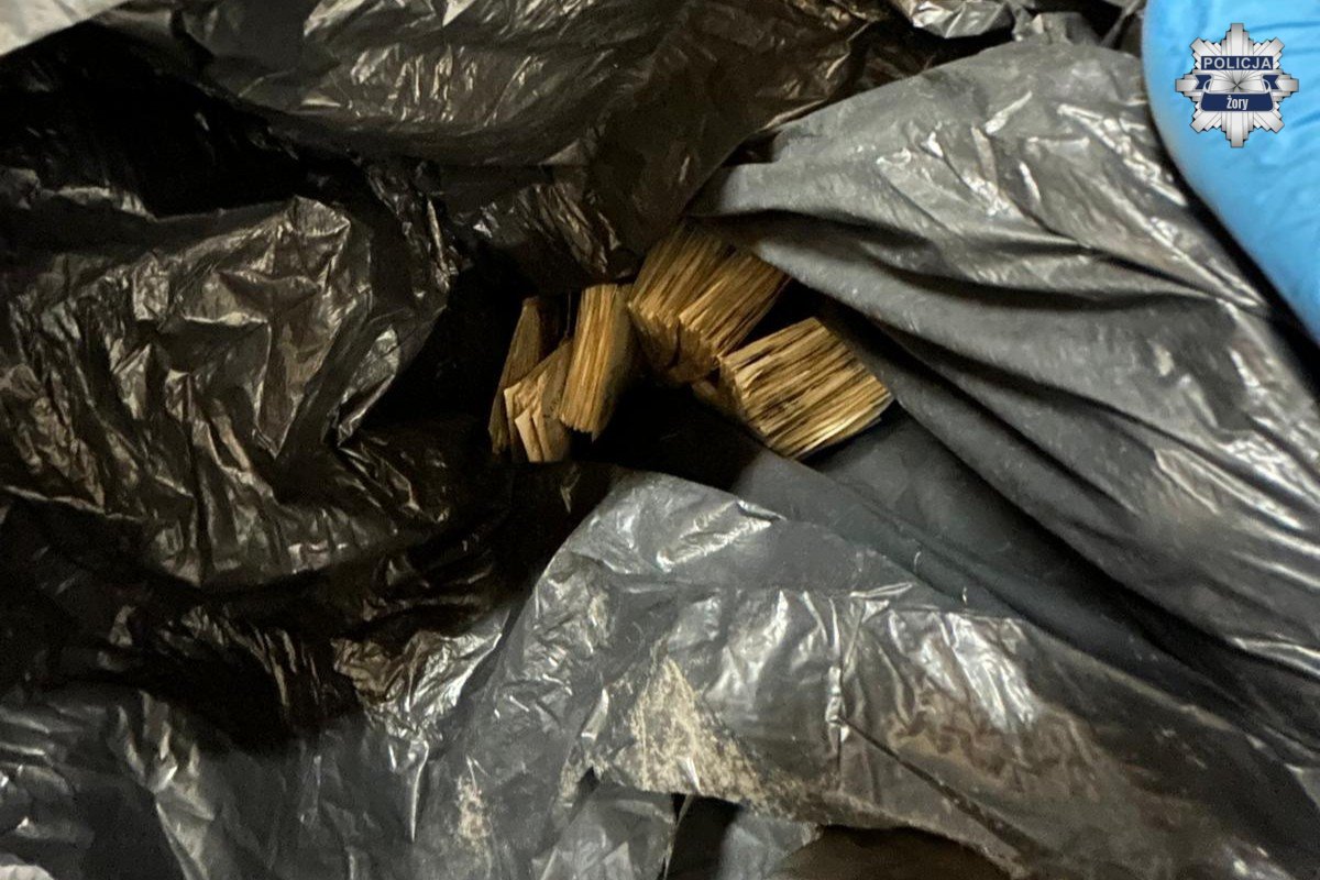 2025.11.26 - Zlikwidowany nielegalny punkt gier hazardowych w Żorach - fotoreportaż