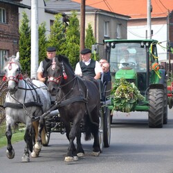 Dożynki w Rowniu