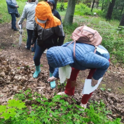 Rodzinnym piknikiem uczcili Dzień Rodzicielstwa Zastępczego