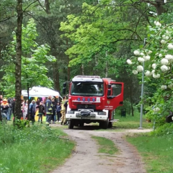 Rodzinnym piknikiem uczcili Dzień Rodzicielstwa Zastępczego