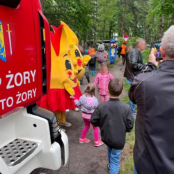 Rodzinnym piknikiem uczcili Dzień Rodzicielstwa Zastępczego