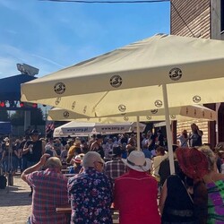 TWINPIGS Country Festival