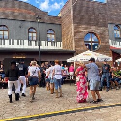 TWINPIGS Country Festival