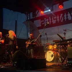 TWINPIGS Country Festival
