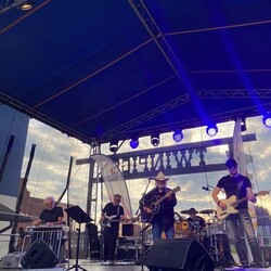 TWINPIGS Country Festival