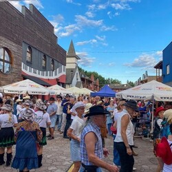 TWINPIGS Country Festival