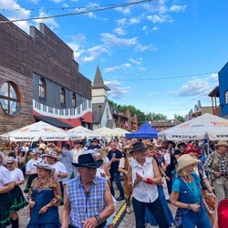 TWINPIGS Country Festival