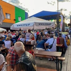 TWINPIGS Country Festival