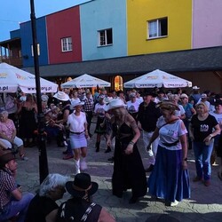 TWINPIGS Country Festival