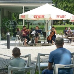 Festiwal Górnej Odry