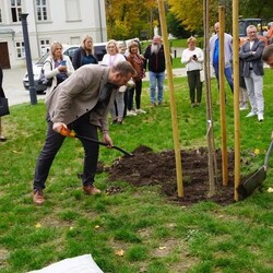 Światowy Dzień Drzewa