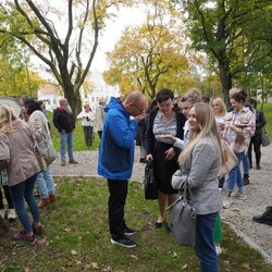 Światowy Dzień Drzewa