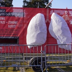 Smogowe płuca