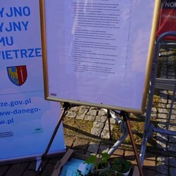 Smogowe płuca