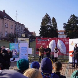 Smogowe płuca