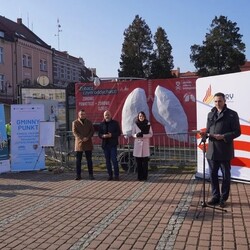 Smogowe płuca