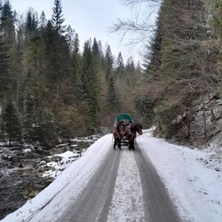 Kulig z MOSiR Żory