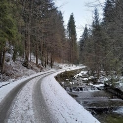 Kulig z MOSiR Żory