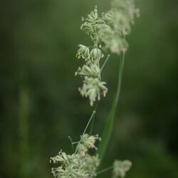 Pierwsza wycieczka Szlakiem Pałacowym