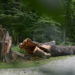 Pierwsza wycieczka Szlakiem Pałacowym
