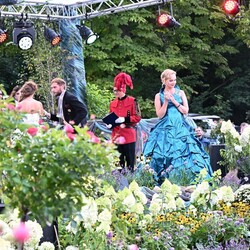 Gala Wiedeńska