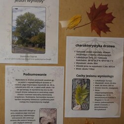 Dzień Drzewa w Żorach