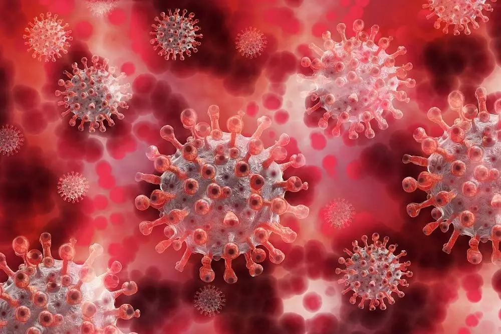 Ekspert: jest relatywnie niewiele wariantów koronawirusa, które warto monitorowa&#263;