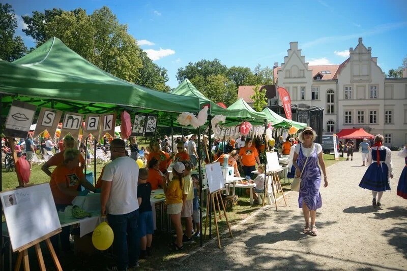 Żory tętniły życiem podczas 5. edycji Festiwalu Górnej Odry / fot. UM Żory
