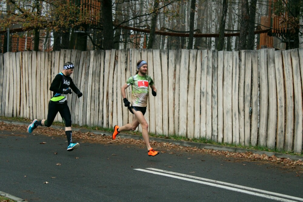 W niedzielę odbył się już po raz trzeci Półmaraton Leśny. Zobaczcie naszą fotorelację!