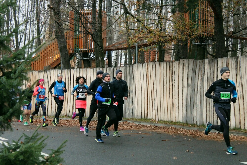 W niedzielę odbył się już po raz trzeci Półmaraton Leśny. Zobaczcie naszą fotorelację!