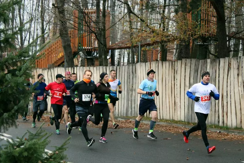W niedzielę odbył się już po raz trzeci Półmaraton Leśny. Zobaczcie naszą fotorelację!