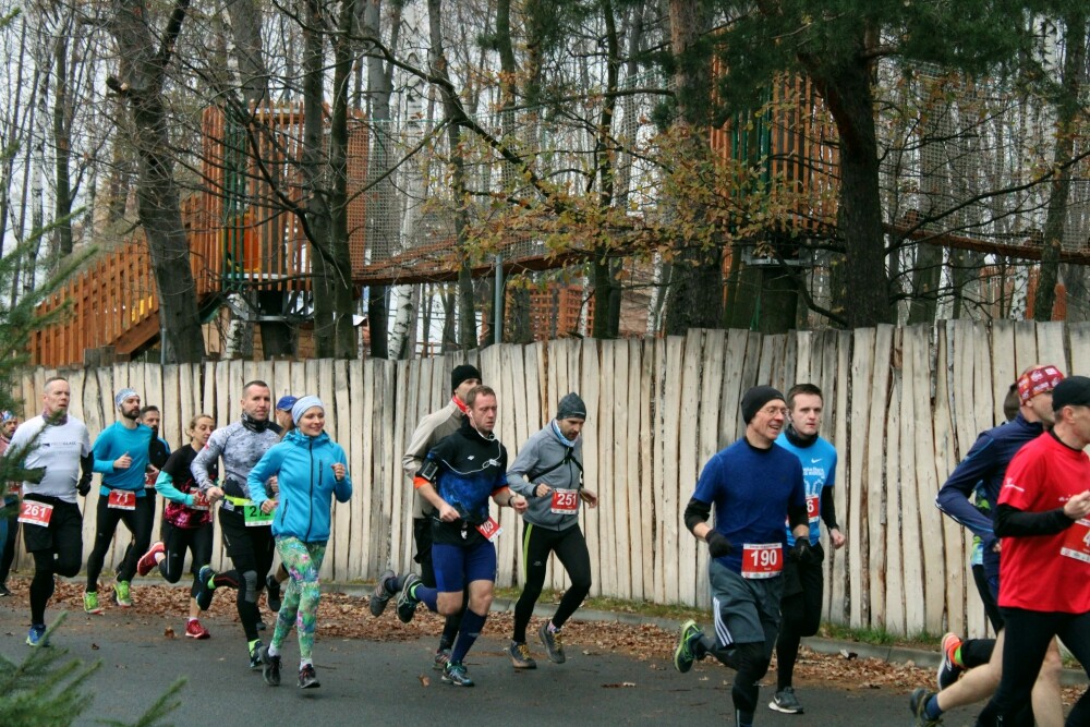 W niedzielę odbył się już po raz trzeci Półmaraton Leśny. Zobaczcie naszą fotorelację!