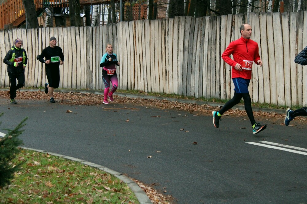 W niedzielę odbył się już po raz trzeci Półmaraton Leśny. Zobaczcie naszą fotorelację!