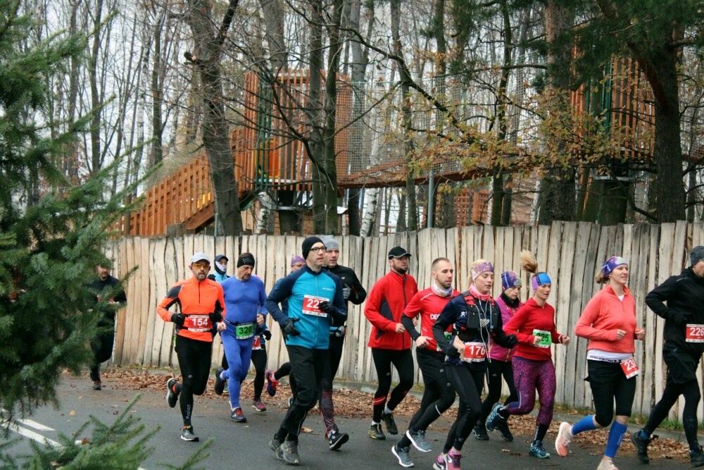 W niedzielę odbył się już po raz trzeci Półmaraton Leśny. Zobaczcie naszą fotorelację!