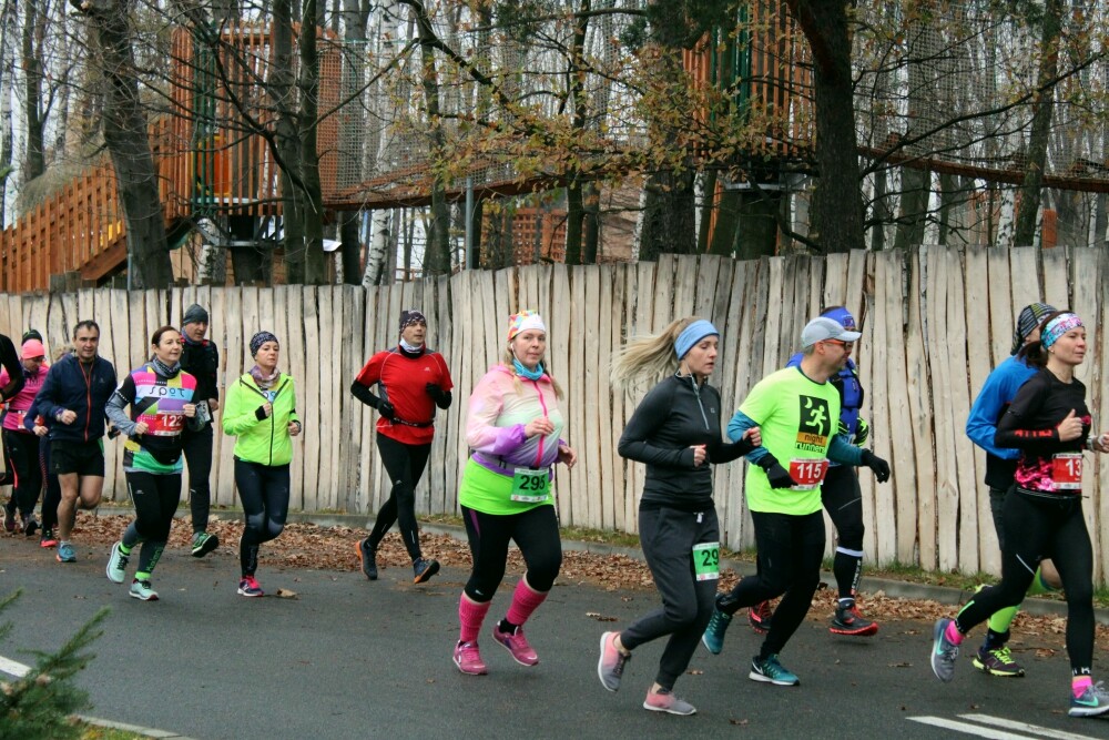 W niedzielę odbył się już po raz trzeci Półmaraton Leśny. Zobaczcie naszą fotorelację!