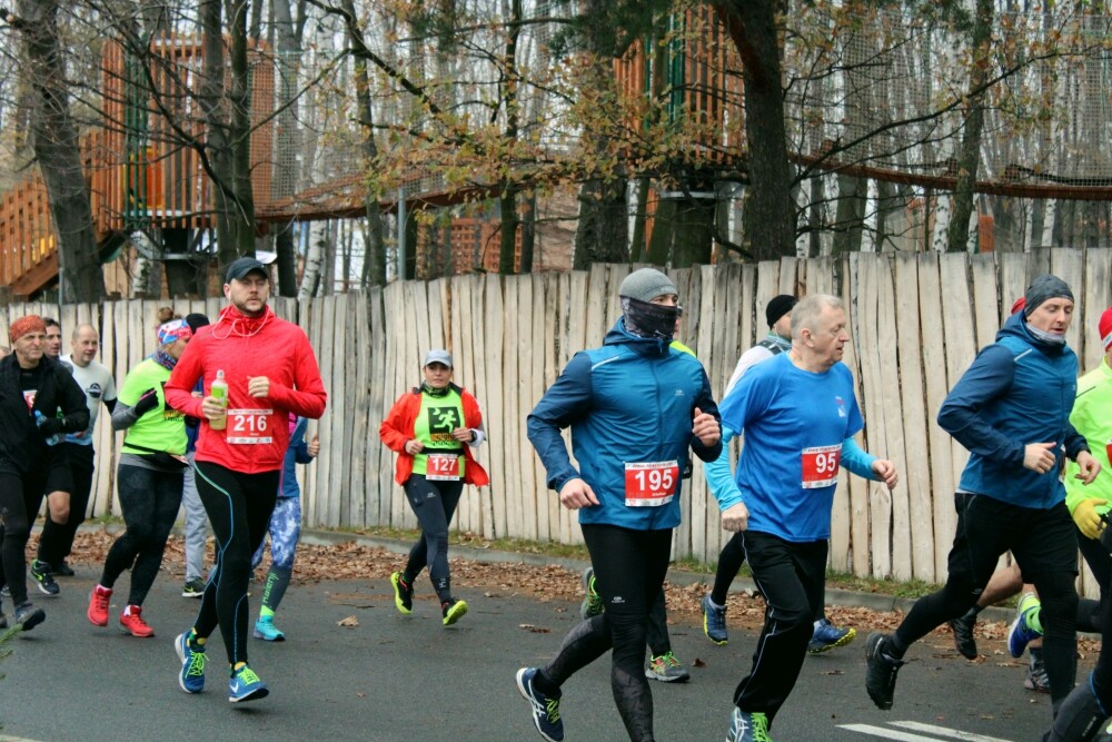 W niedzielę odbył się już po raz trzeci Półmaraton Leśny. Zobaczcie naszą fotorelację!