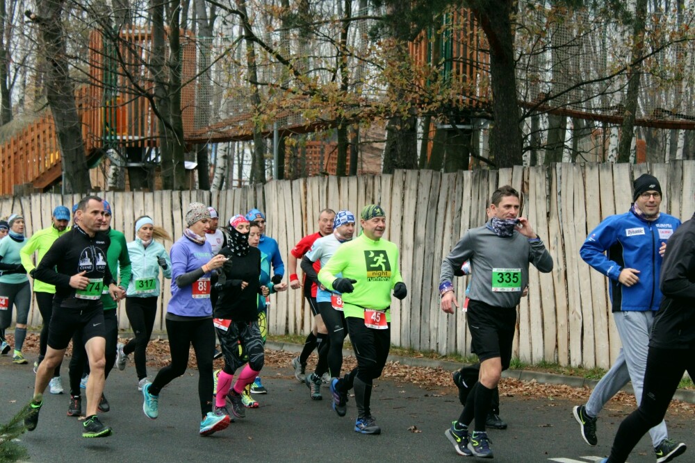 W niedzielę odbył się już po raz trzeci Półmaraton Leśny. Zobaczcie naszą fotorelację!