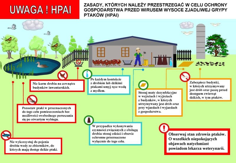 Informacja dla hodowców drobiu w związku z zagrożeniem ptasią grypą na terenie Żor