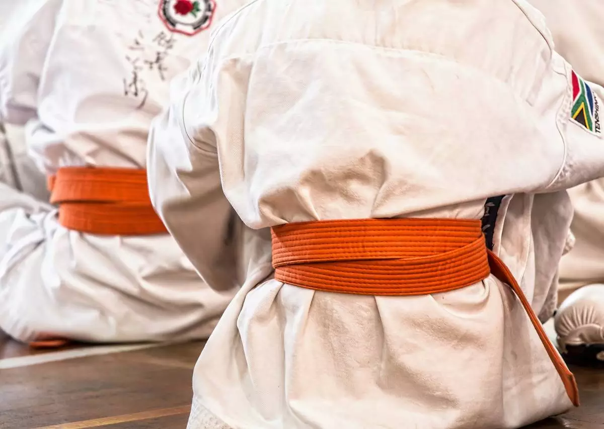 Karatecy z Żor jadą na Mistrzostwa Świata / fot. Pixabay
