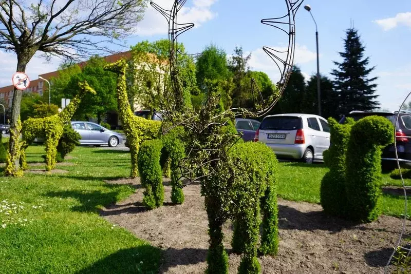 Na osiedlu Pawlikowskiego powstał niezwykły ogród. Stworzyli go mieszkańcy! / fot. UM Żory